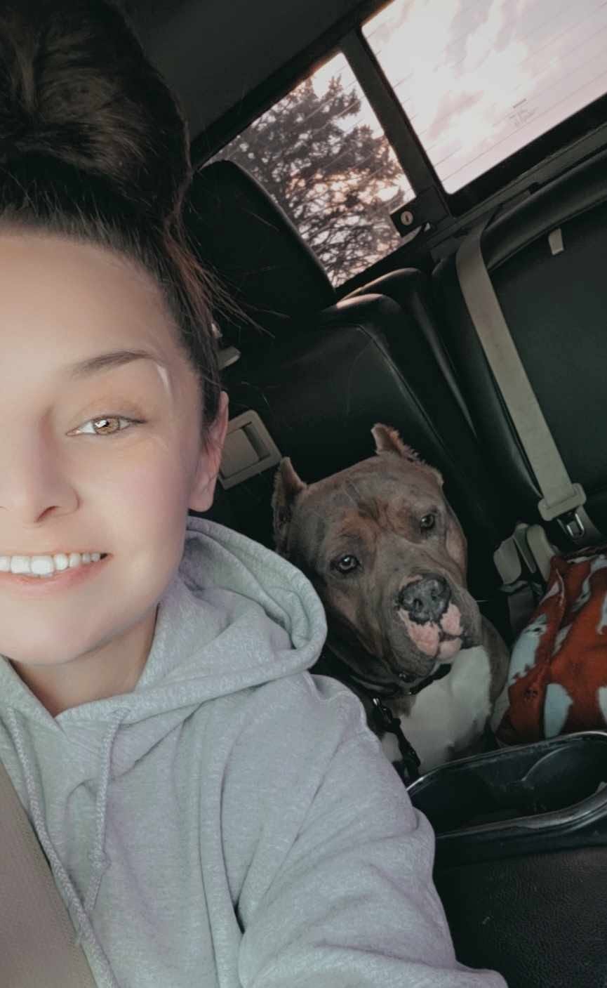 Off-site facility dog